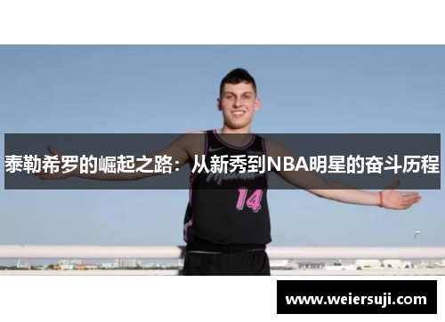 泰勒希罗的崛起之路：从新秀到NBA明星的奋斗历程